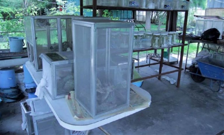 pic_laboratory_0037
