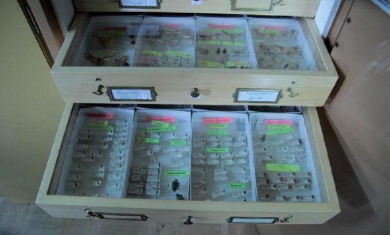 pic_laboratory_0038