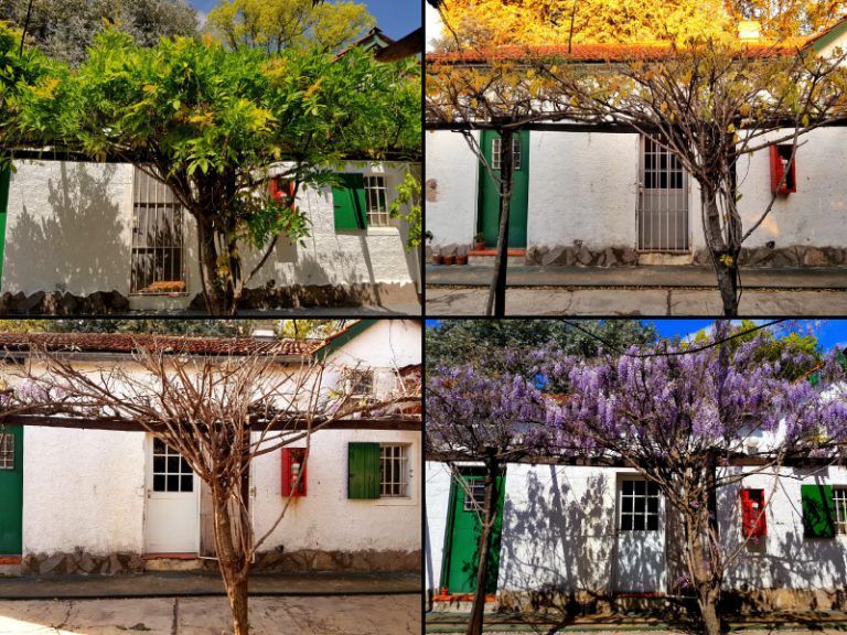 laboratorio-001