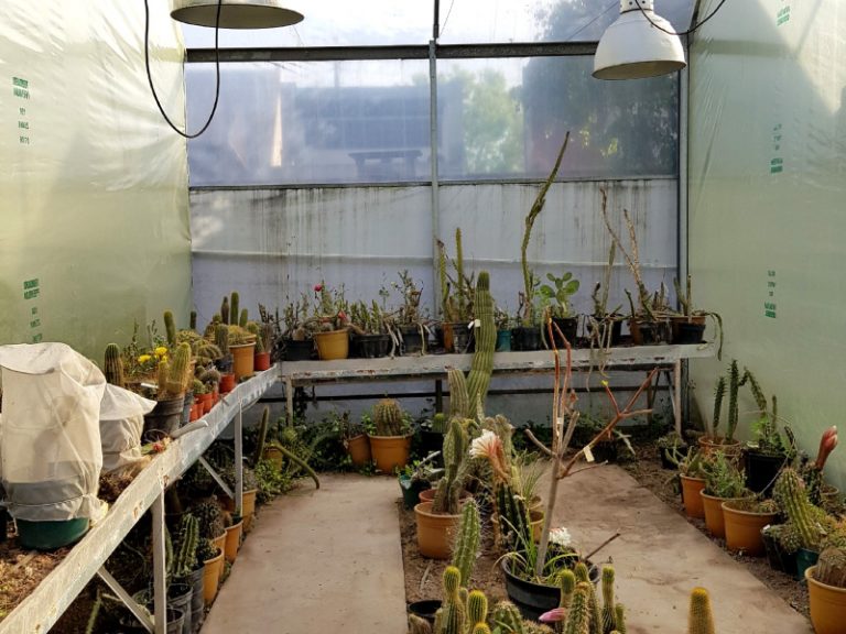 laboratorio-003