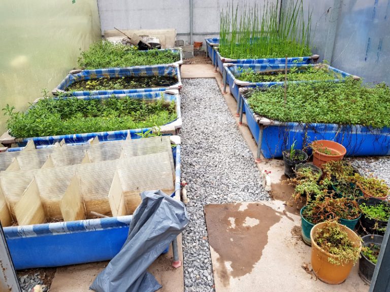 laboratorio-006