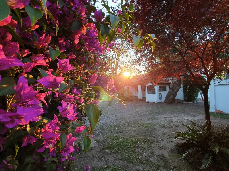 Jardín trasero del laboratorio en la actualidad