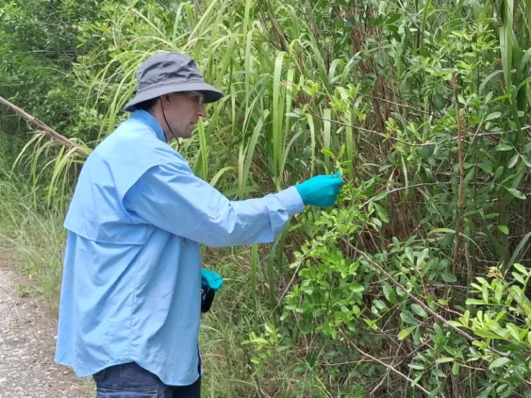 trabajo-campo-003